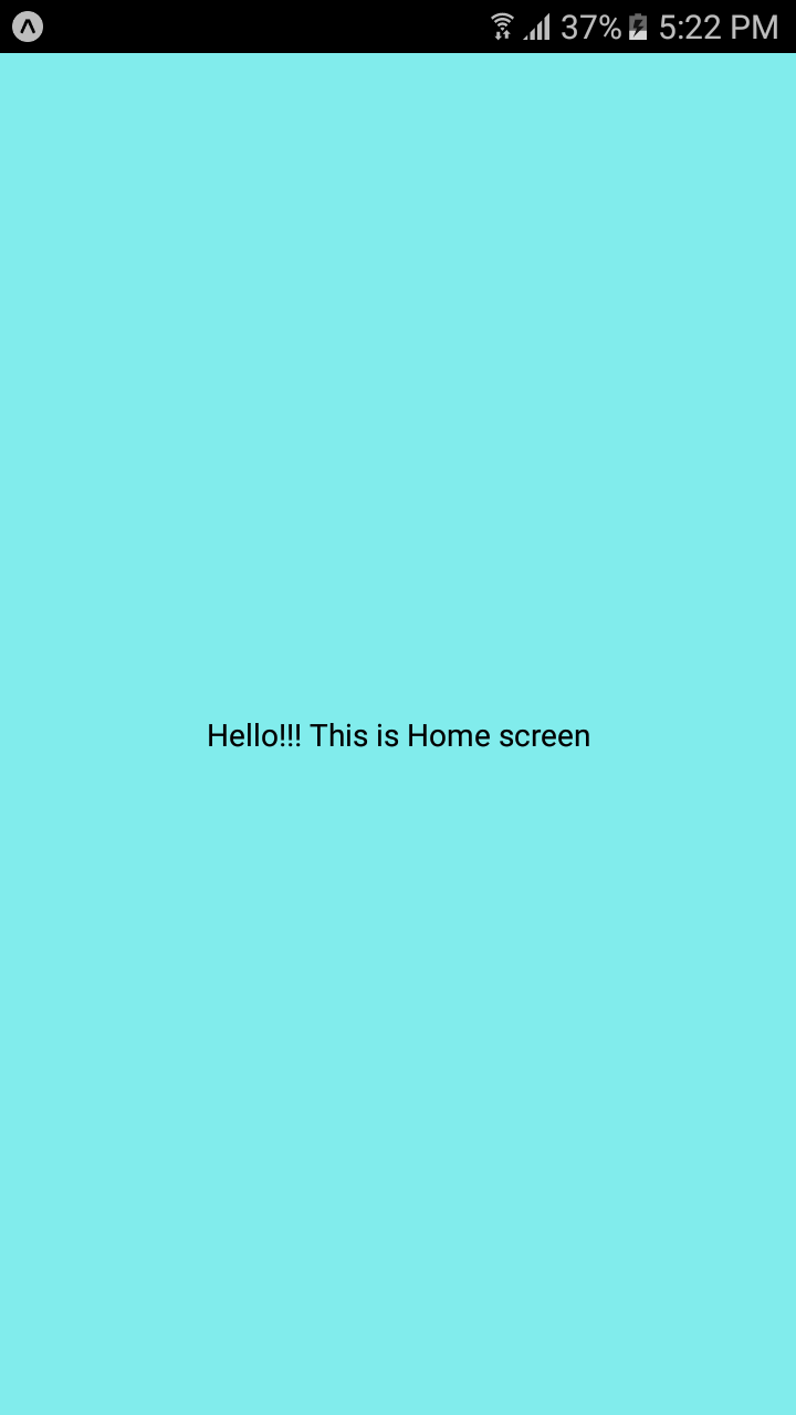 Empty Home screen